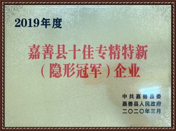 2019年度嘉善縣十佳專精特新（隱形冠軍）企業(yè)